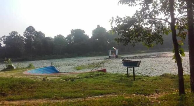 रुपन्देहीको दानापुर तालमा डुबेर मृत्यु